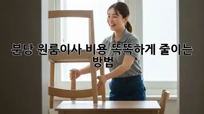분당 원룸이사, 비용 똑똑하게 줄이는 방법!
